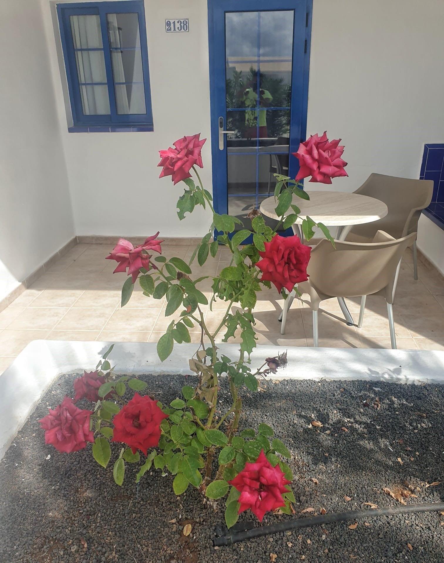Grupotel Cinco Plazas Puerto del Carmen  Luaran gambar